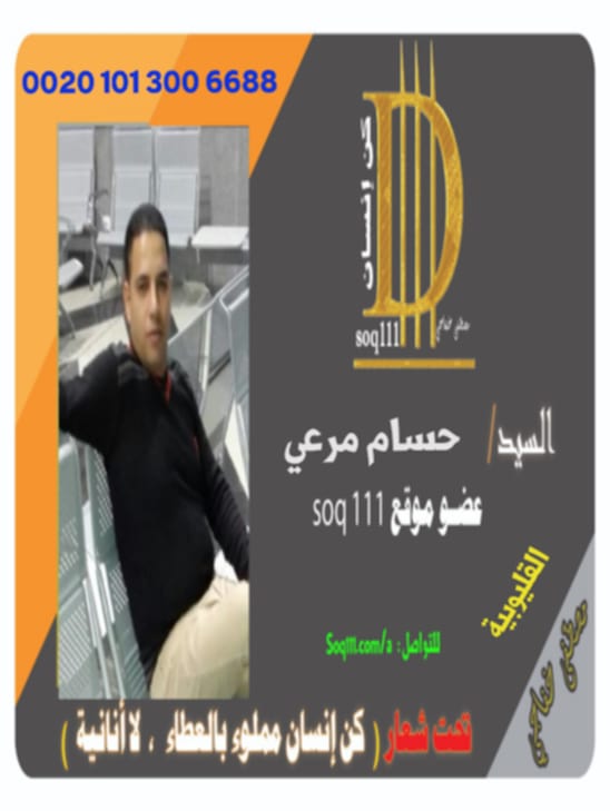 معرض الصور